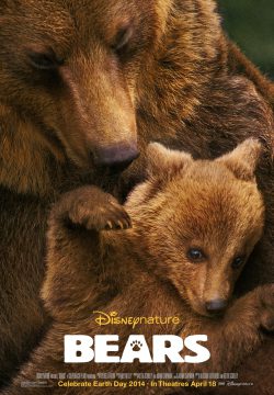 دانلود فیلم Bears 2014