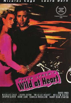 دانلود فیلم Wild at Heart 1990