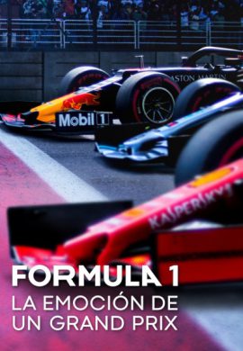 دانلود سریال Formula 1: Drive to Survive